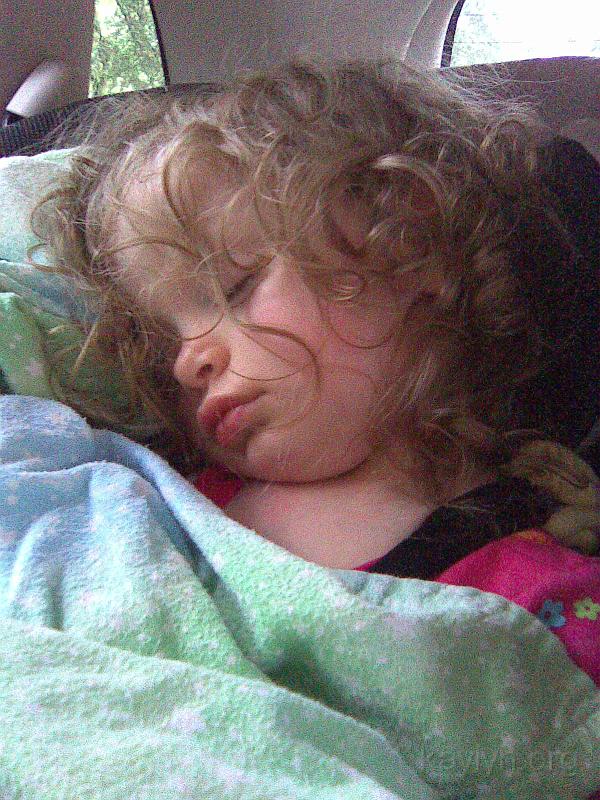 Copy of telephone pictures June 2010 085.jpg